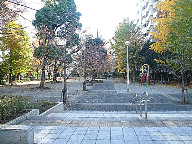 トーア新富マンション　周辺環境