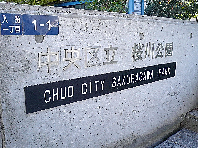 トーア新富マンション　周辺環境