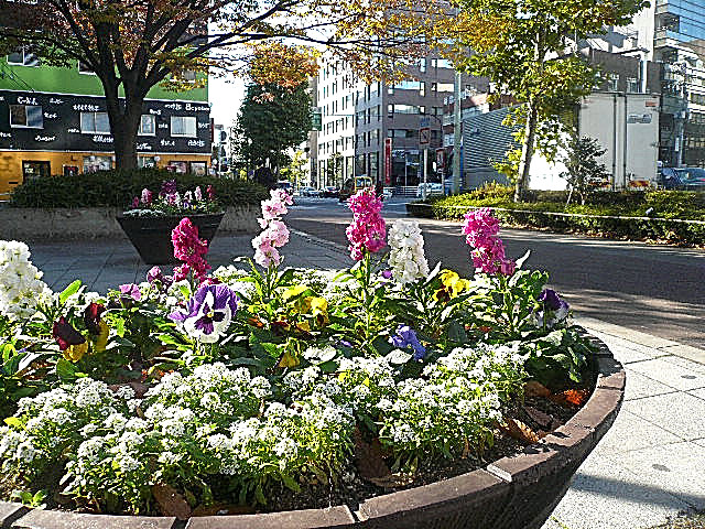 トーア新富マンション　周辺環境