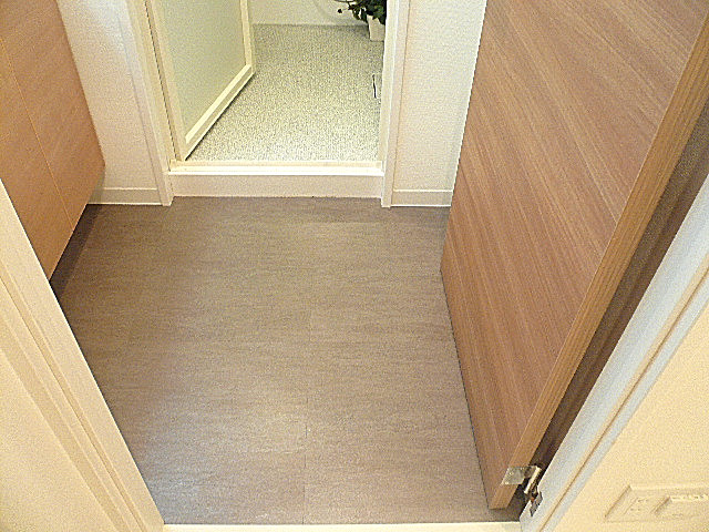 トーア新富マンション　サニタリールームです。