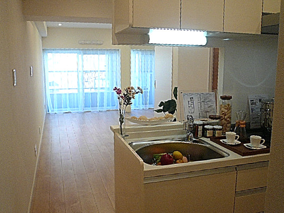 トーア新富マンション　木の温もりを感じるＬＤＫ11.0帖