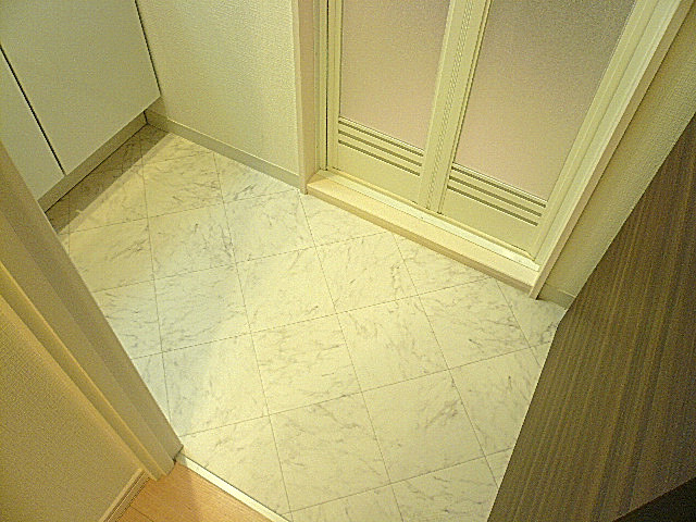 弦巻リハイム　サニタリールームです。