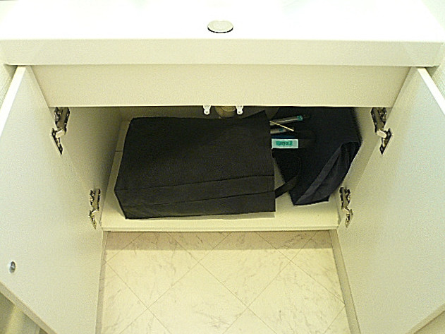 弦巻リハイム　洗面台収納