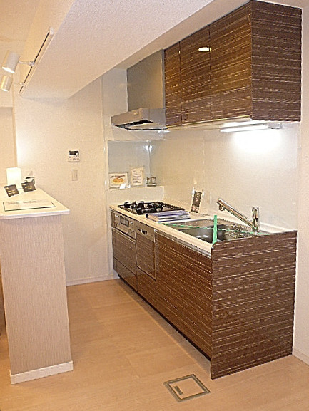 弦巻リハイム　収納充実なシステムキッチン