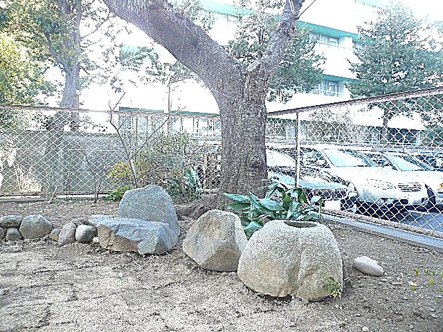 弦巻リハイム　緑ある専用庭