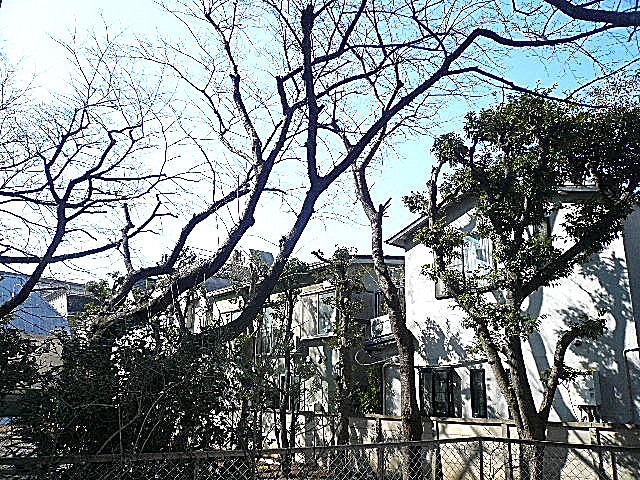 弦巻リハイム　1階からの眺望