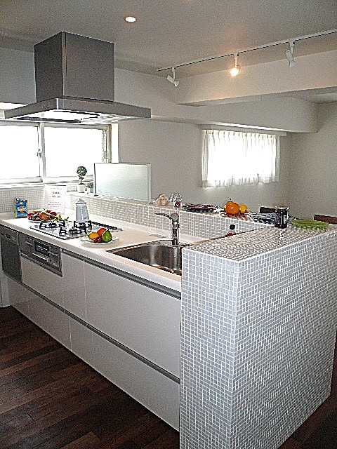 マンション駒場　おしゃれなシステムキッチン303