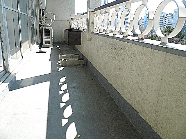 マンション駒場　バルコニー303