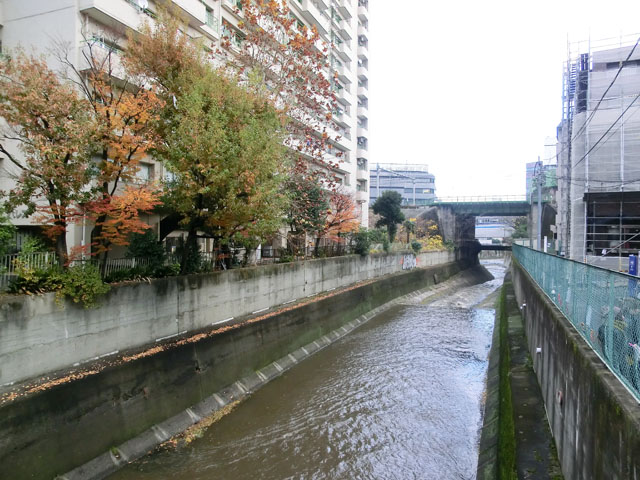 トキワパレス　周辺環境