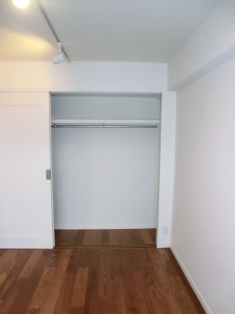 トキワパレス　約5.3帖の洋室収納1109