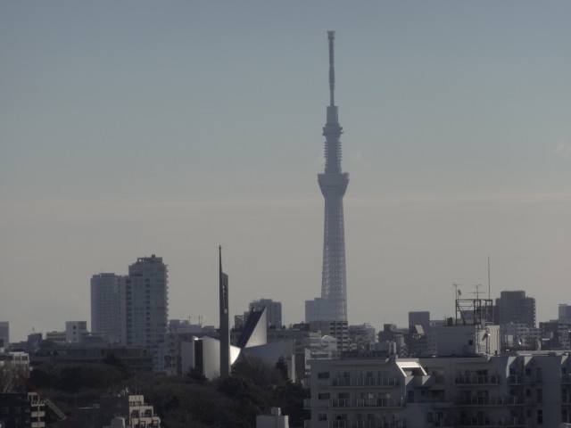 トキワパレス　スカイツリーも見えますよ♪