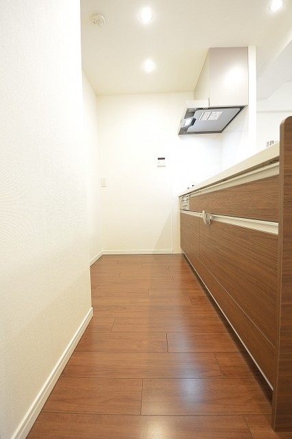 ハイツ日本橋中洲　キッチンスペース