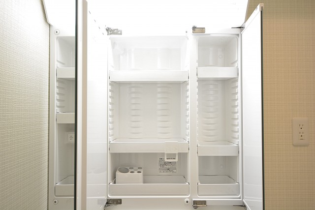 クレール麹町　3面鏡の裏は一面収納