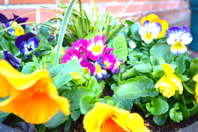 大森パークハイツ