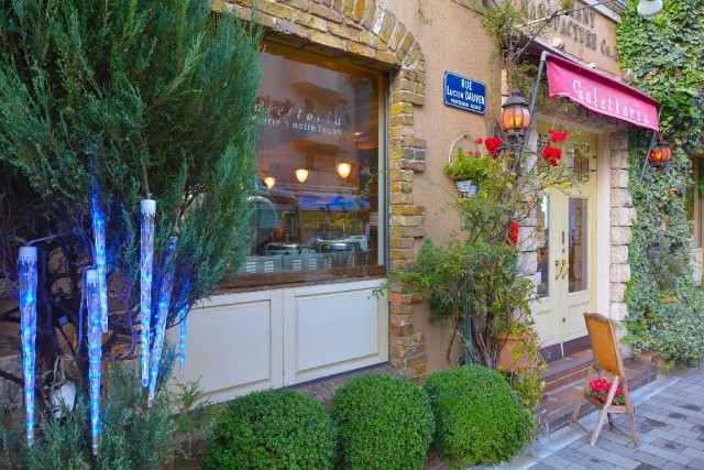 松濤ハウス　マンション周辺