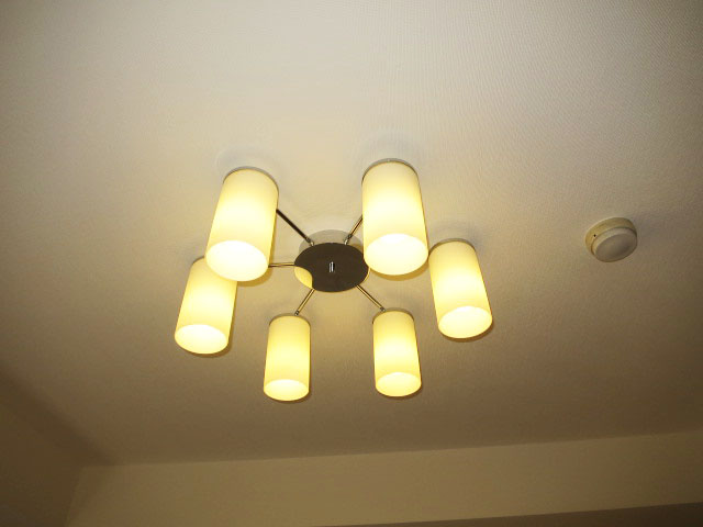 照明にもこだわりが感じられます