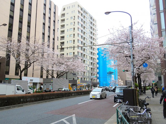 グリーンキャピタル広尾　前面道路