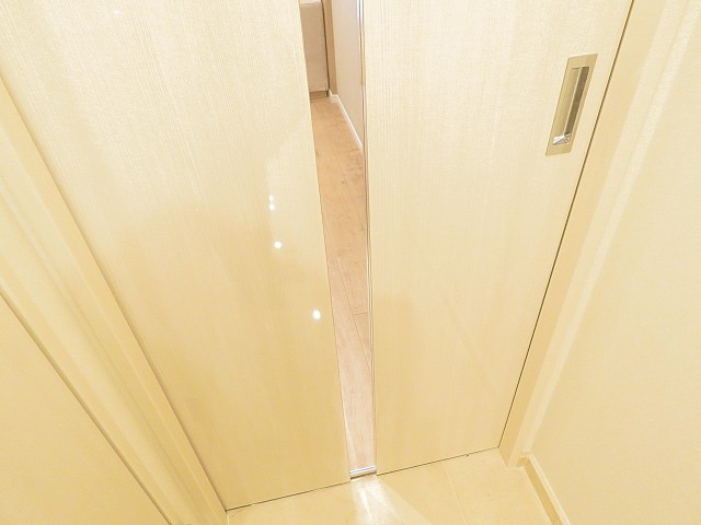 グリーンキャピタル広尾　LDK扉