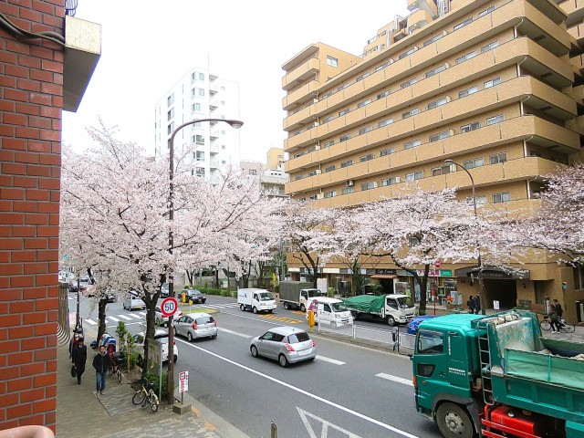 グリーンキャピタル広尾　眺望