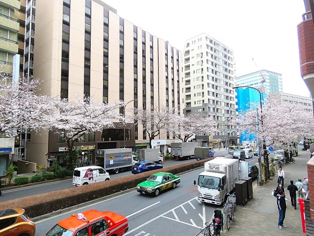 グリーンキャピタル広尾　眺望