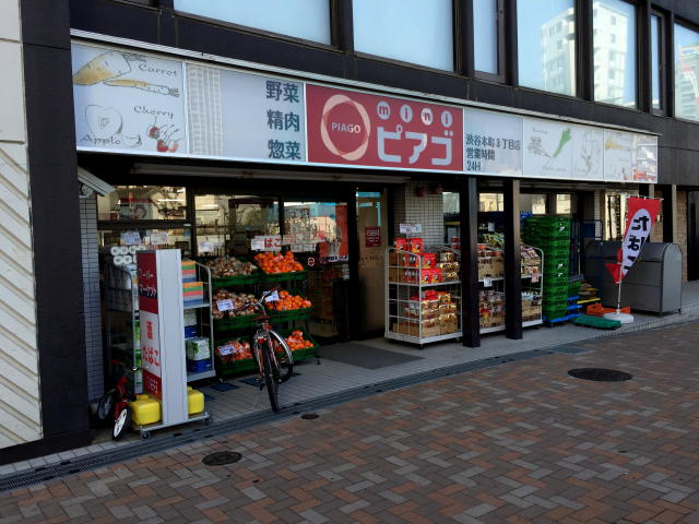 クレベール西新宿フォレストマンション　周辺環境