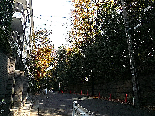 チュリス氷川坂　マンションまでの道のり