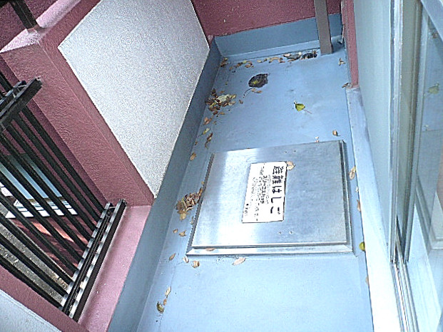 チュリス氷川坂　洋室にあるバルコニー　3.29㎡312