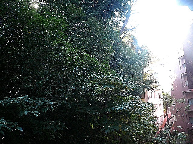 チュリス氷川坂　3階　バルコニーからの眺望312