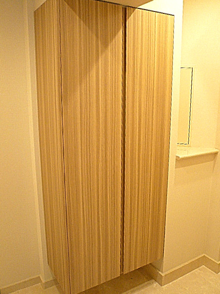 チュリス氷川坂　トールサイズの玄関収納312