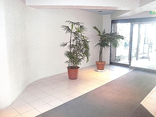 チュリス氷川坂　きれいなエントランス内