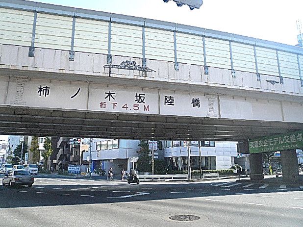 ライオンズマンション柿の木坂　マンションまでの道のり