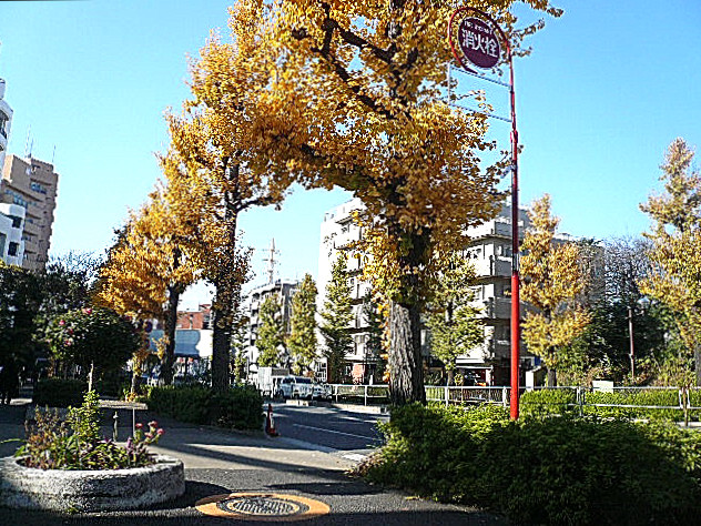 ライオンズマンション柿の木坂　マンションまでの道のり