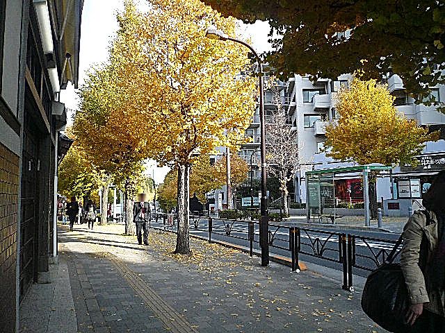 原宿ニュースカイハイツ　マンションまでの道のり