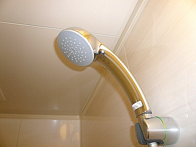 原宿ニュースカイハイツ　シャワー