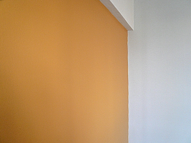 原宿ニュースカイハイツ　アクセントパネル