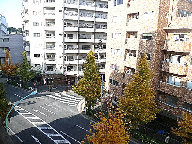 原宿ニュースカイハイツ　5階からの眺望