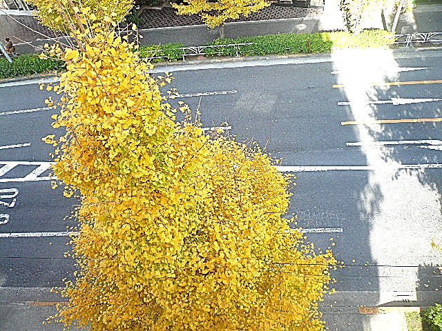 原宿ニュースカイハイツ　5階からの眺望