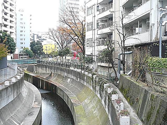 グリーンキャピタル広尾　マンションまでの道のり