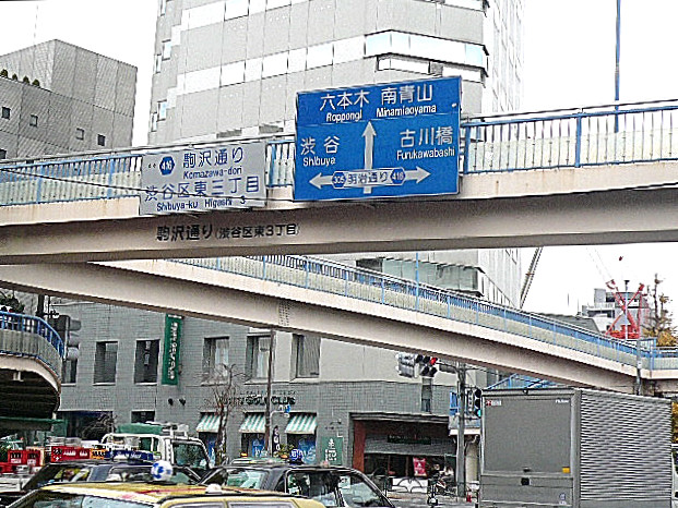 グリーンキャピタル広尾　マンションまでの道のり