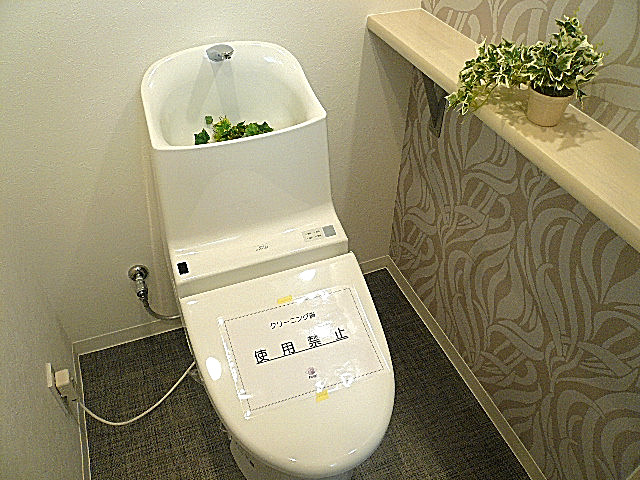 グリーンキャピタル広尾　ウォシュレット付トイレです。