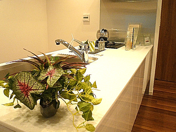 グリーンキャピタル広尾　高級感あるシステムキッチン