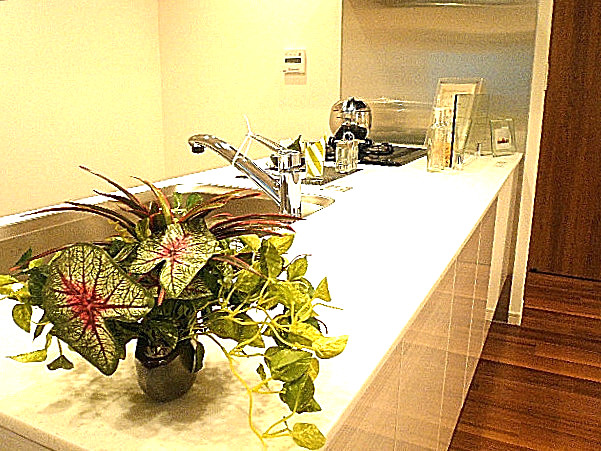 グリーンキャピタル広尾　高級感あるシステムキッチン