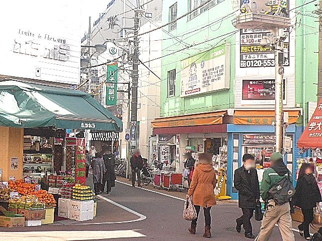 インペリアル学芸大学フラット　駅周辺