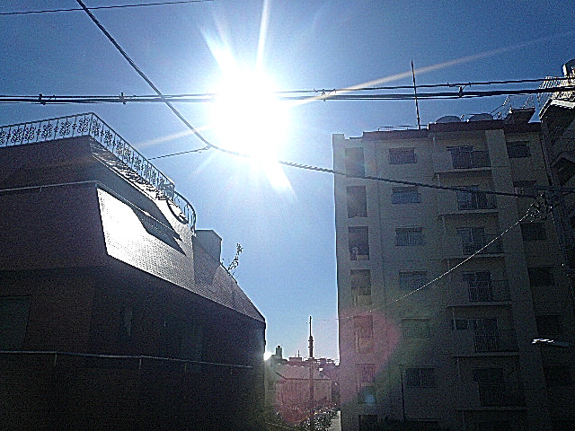 洋室に面しているバルコニー　眺望