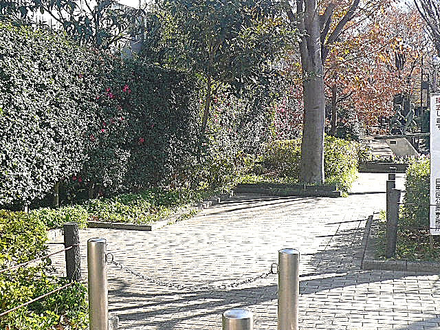 インペリアル学芸大学フラット　中央緑地公園
