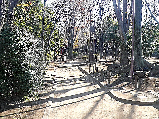 インペリアル学芸大学フラット　中央緑地公園