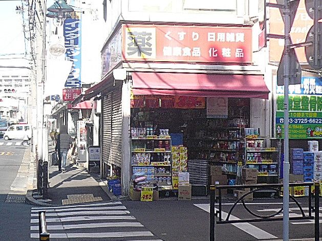 柿の木坂スカイマンション　駅周辺