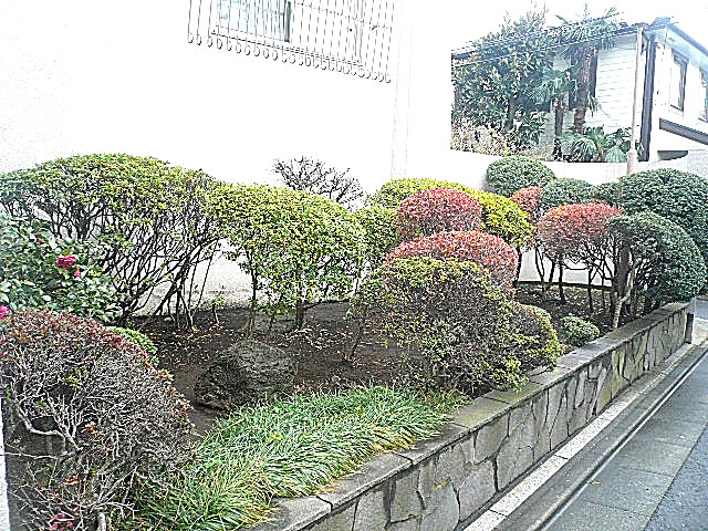 豊栄平町マンション　緑に囲まれ