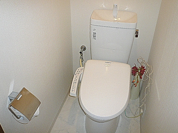 シャンボール柿の木坂　ウォシュレット付トイレです。