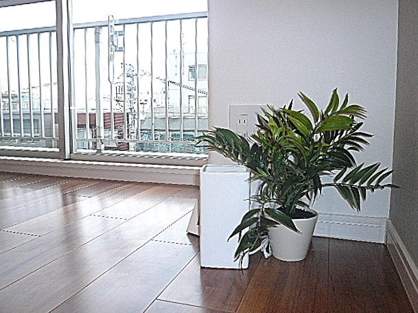 光射し込む4.5帖洋室です。